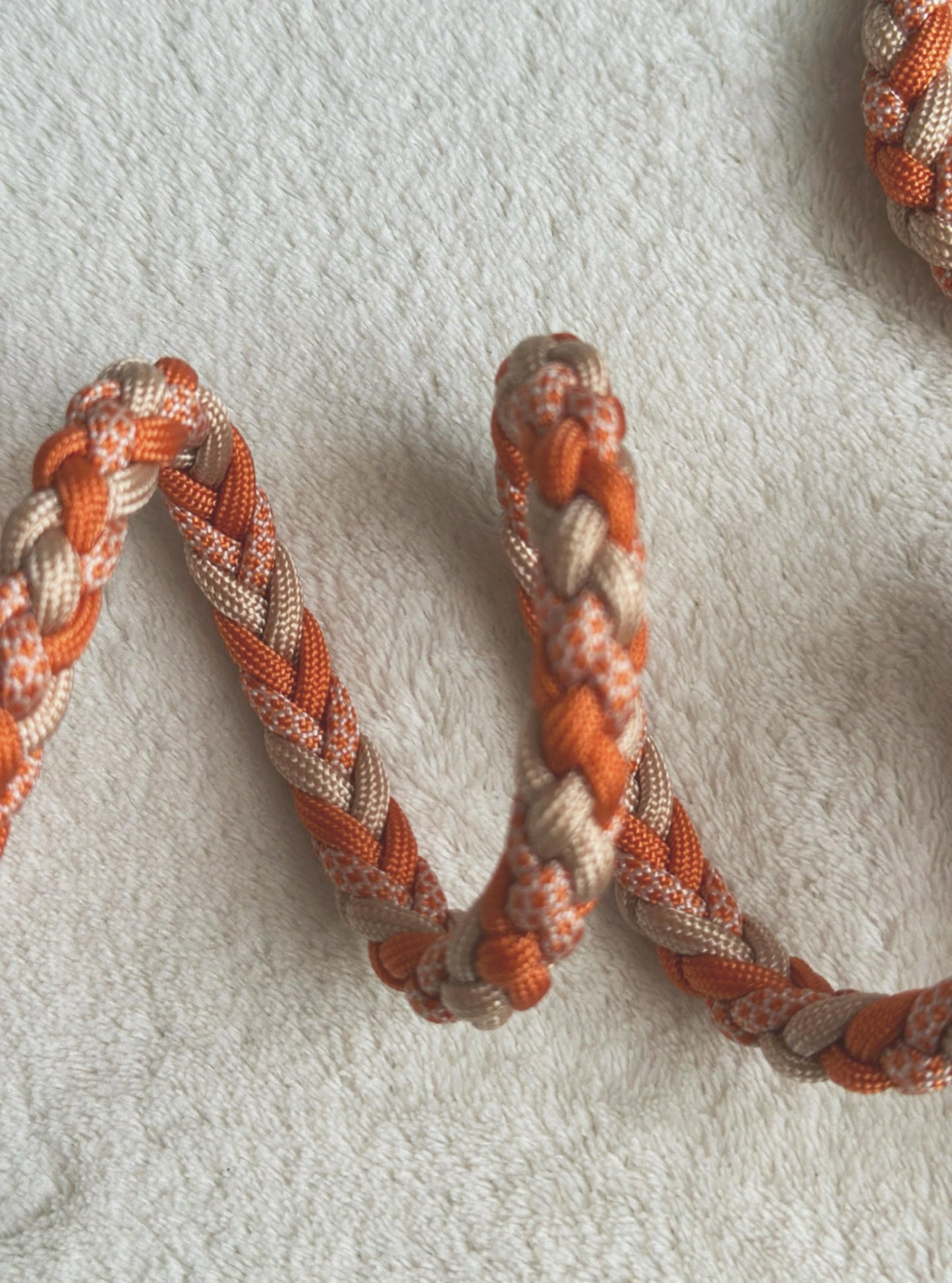 Guinzaglio arancione per cani