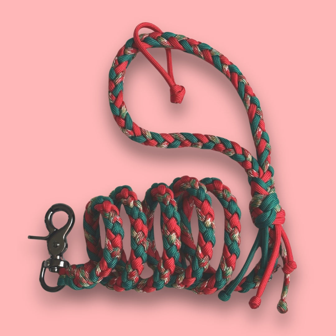 Guinzaglio per cani in paracord