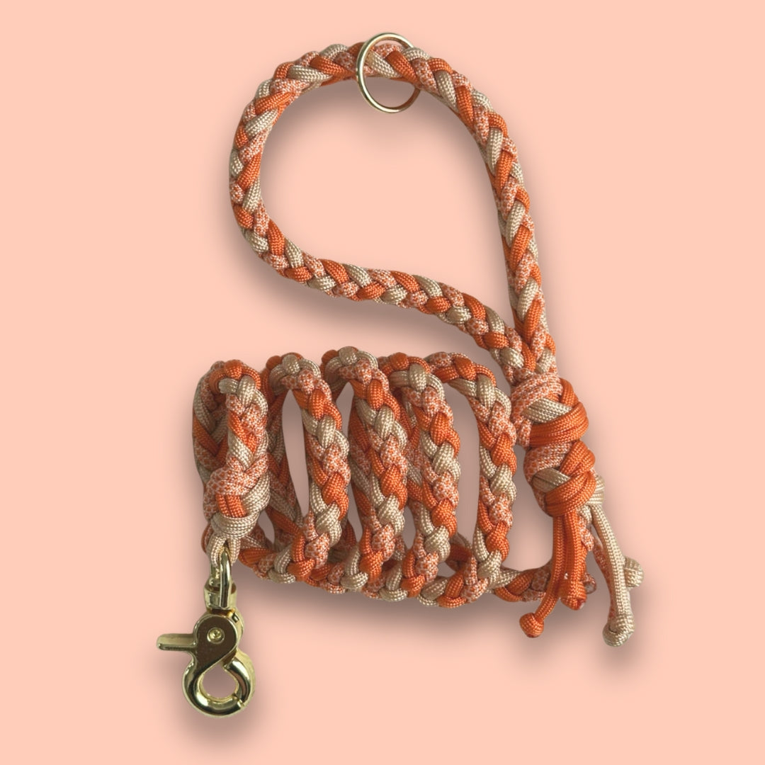 Guinzaglio arancione per cani