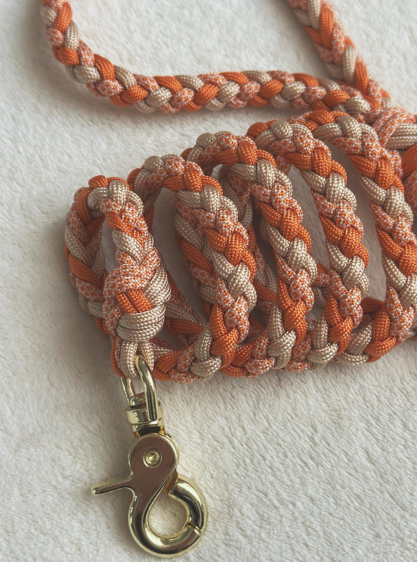 Guinzaglio arancione per cani