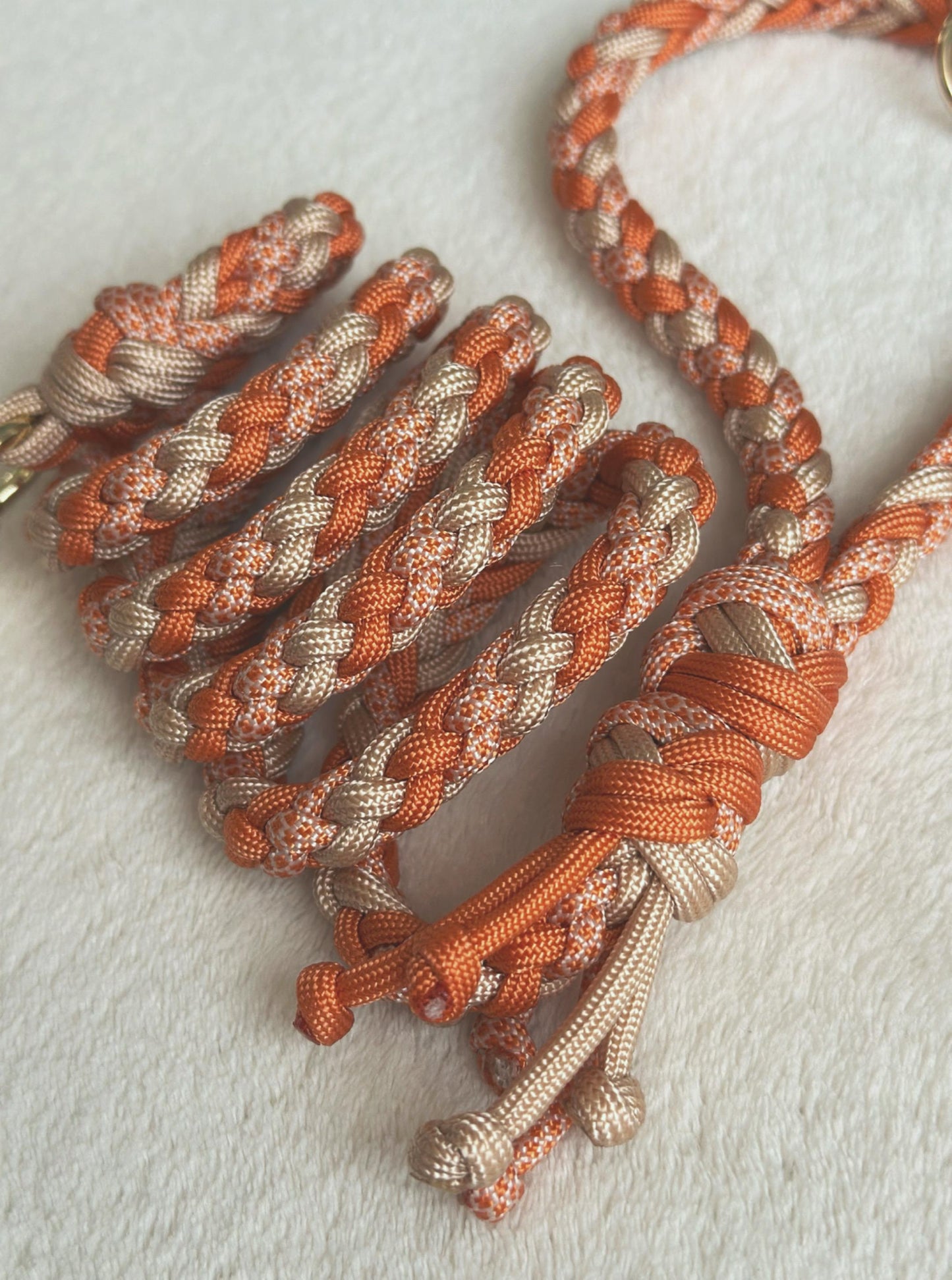 Guinzaglio arancione per cani