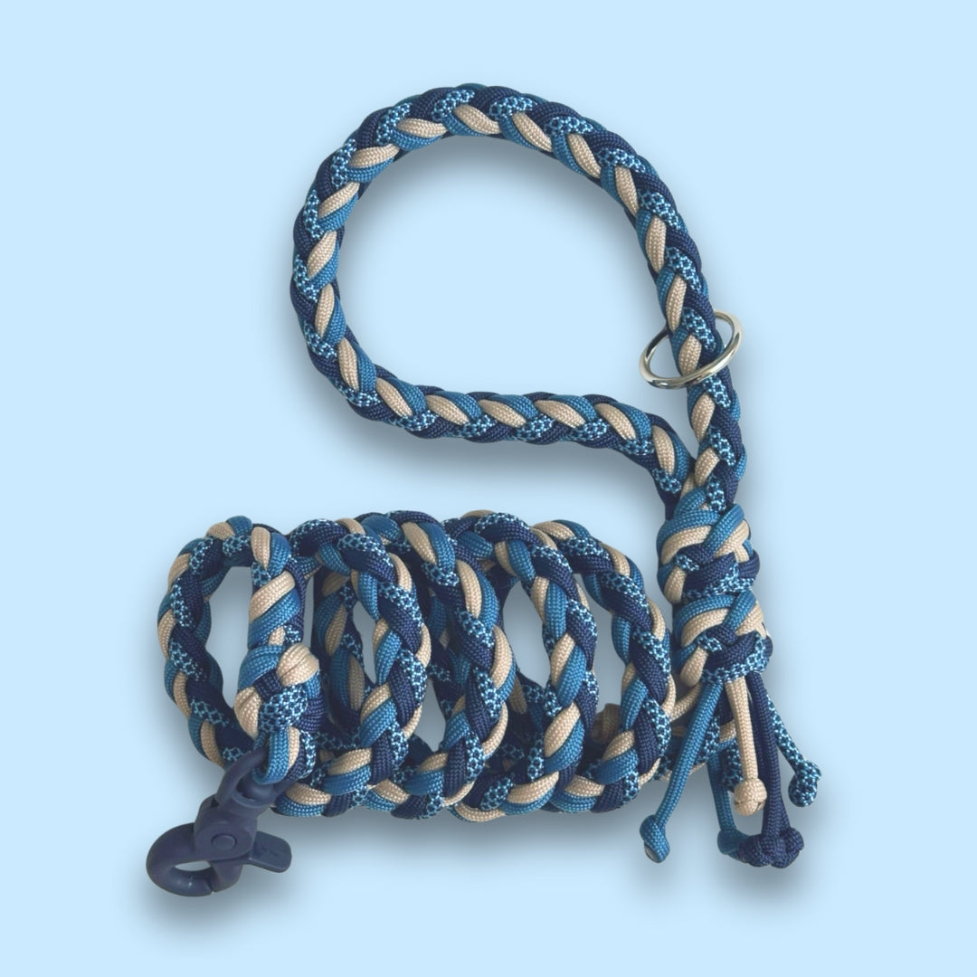 Guinzaglio per cani blu