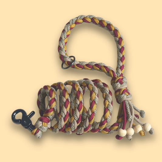 Guinzaglio artigianale in paracord Dory