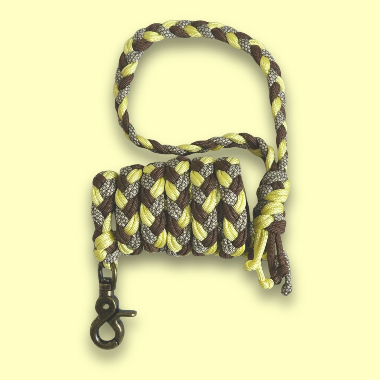 Guinzaglio per cani giallo e marrone